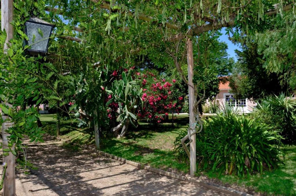 Casa Da Avo Genoveva Hostal Tomar Exterior foto